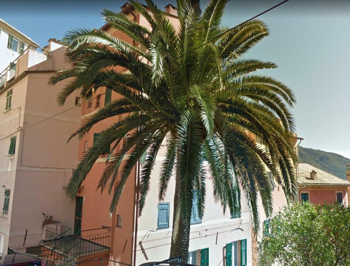 شقة Embarcadero - Camogli & Gateway To Portofino المظهر الخارجي الصورة